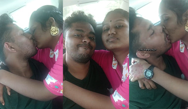 Punjabi Lovers Romance In Car Secret Sex View HD